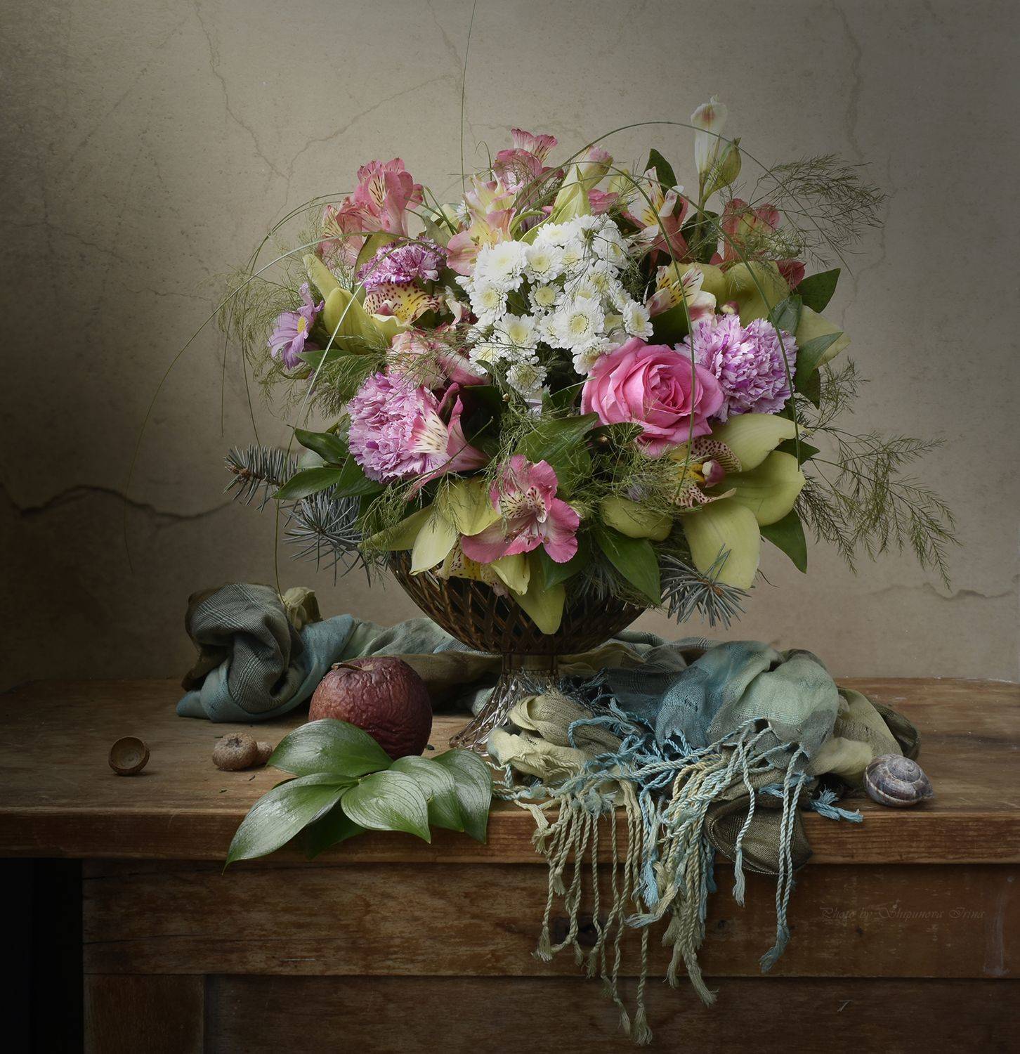 , Шипунова Ирина