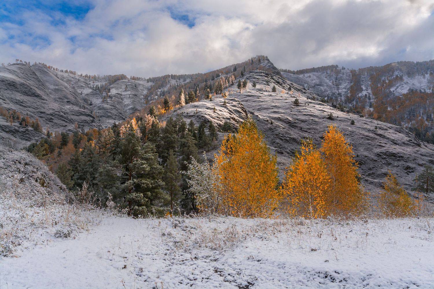 россия, горный алтай,осень,снег, Андрей Поляков