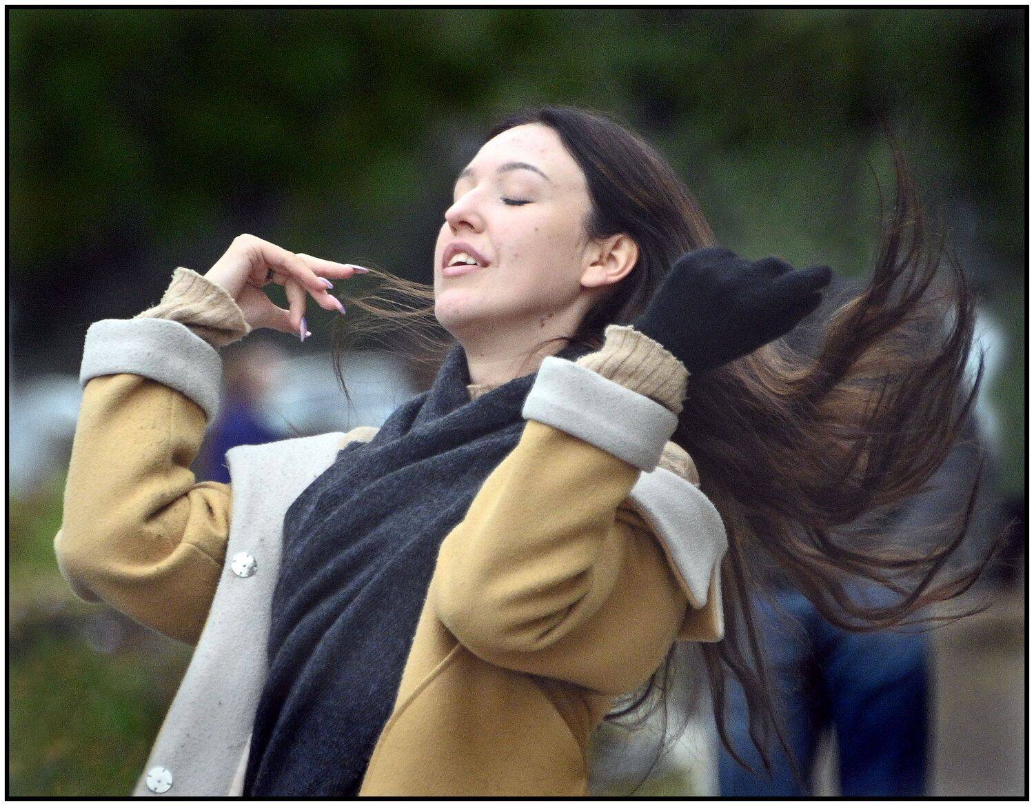 , Меднов Влад