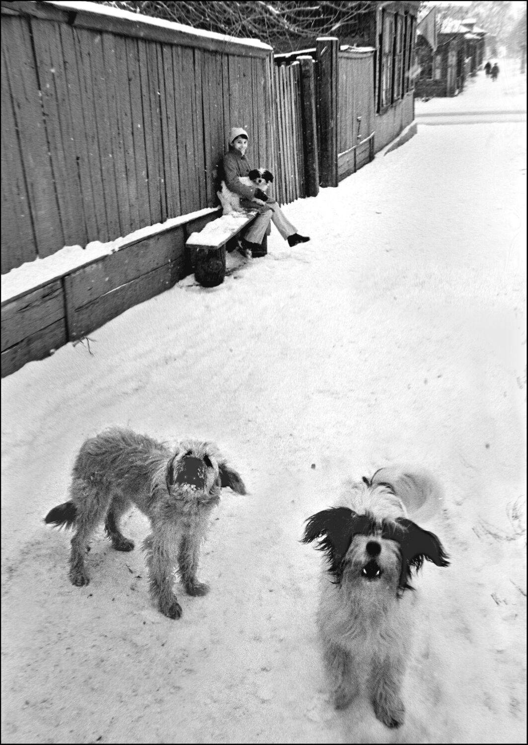 , Меднов Влад