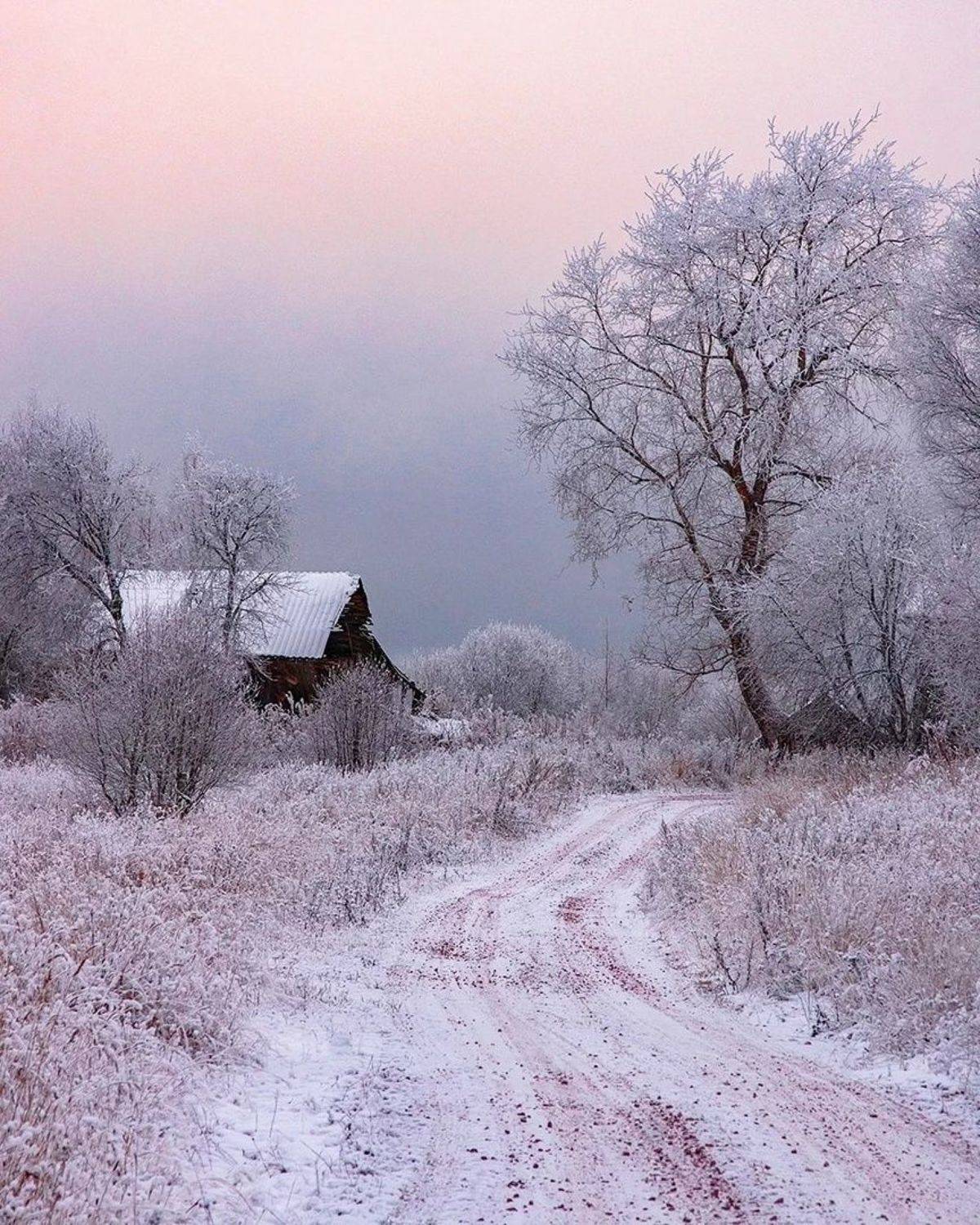 , Петр Косых