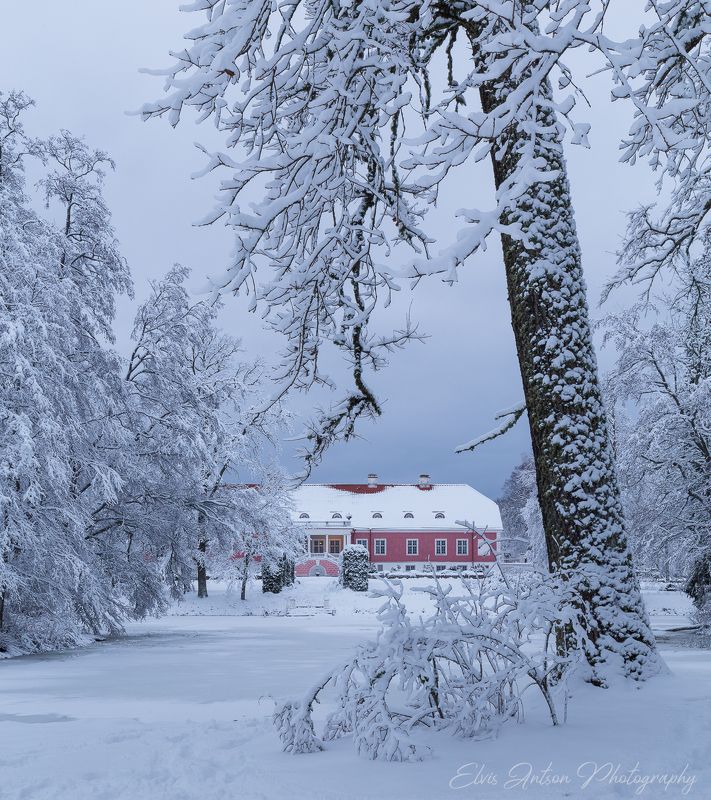 усадьба, сагади, зима, пейзаж, архитектура, эстония Зимняя сказка фото превью