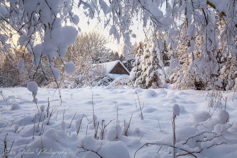 зима, пейзаж, эстония Волшебство зимы фото превью