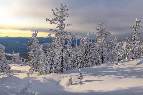 Зимний вечер