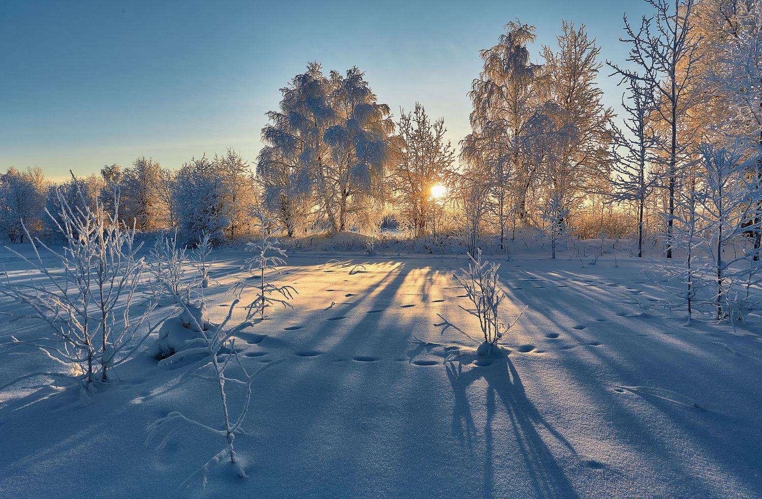 , Лисаускас Илья