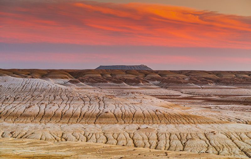 казахстан, мангистау, тирамису *** фото превью