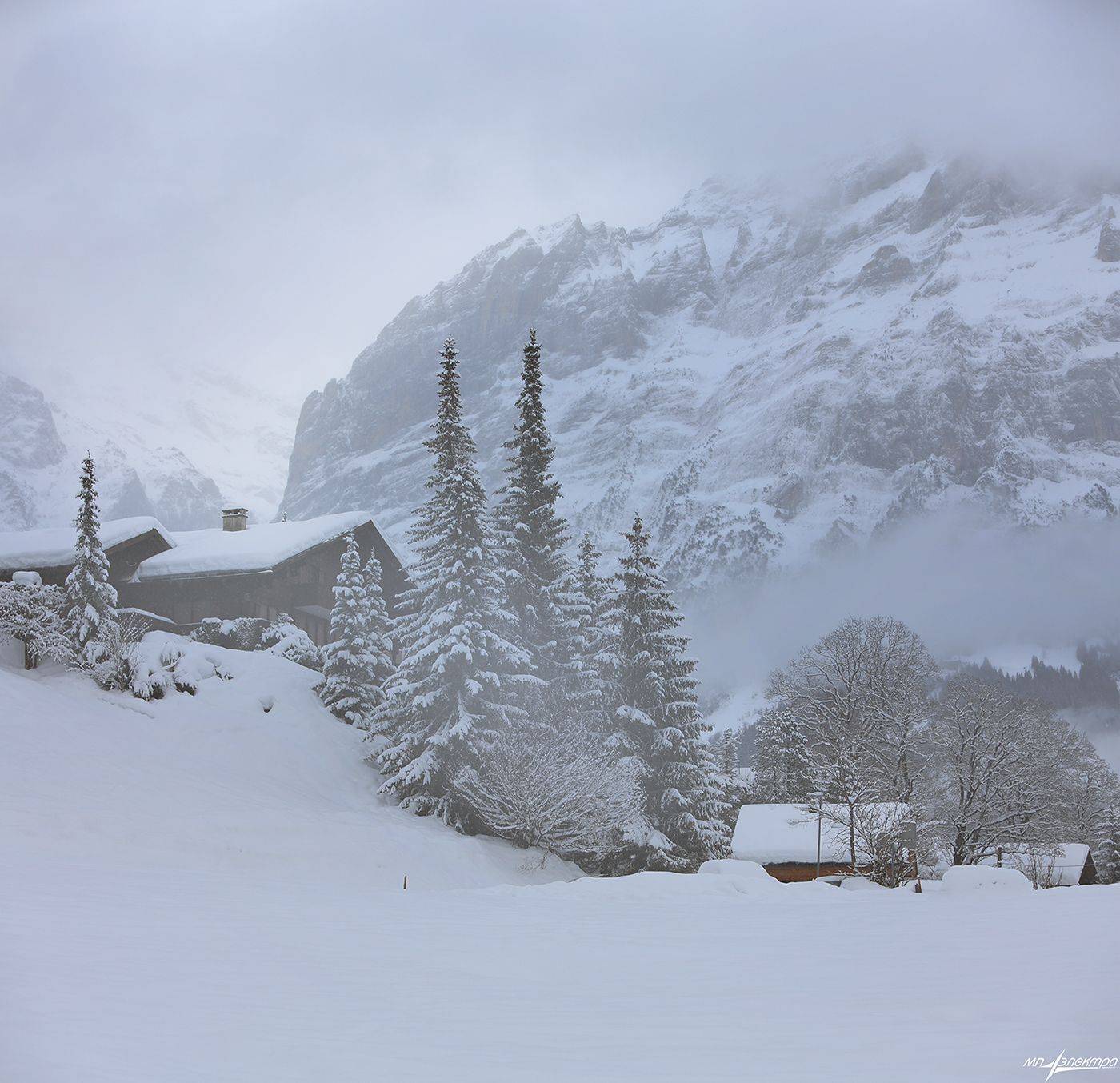 swiss, Матвеев Николай