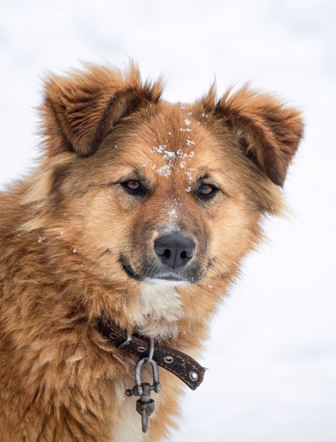 , Елисеев Александр