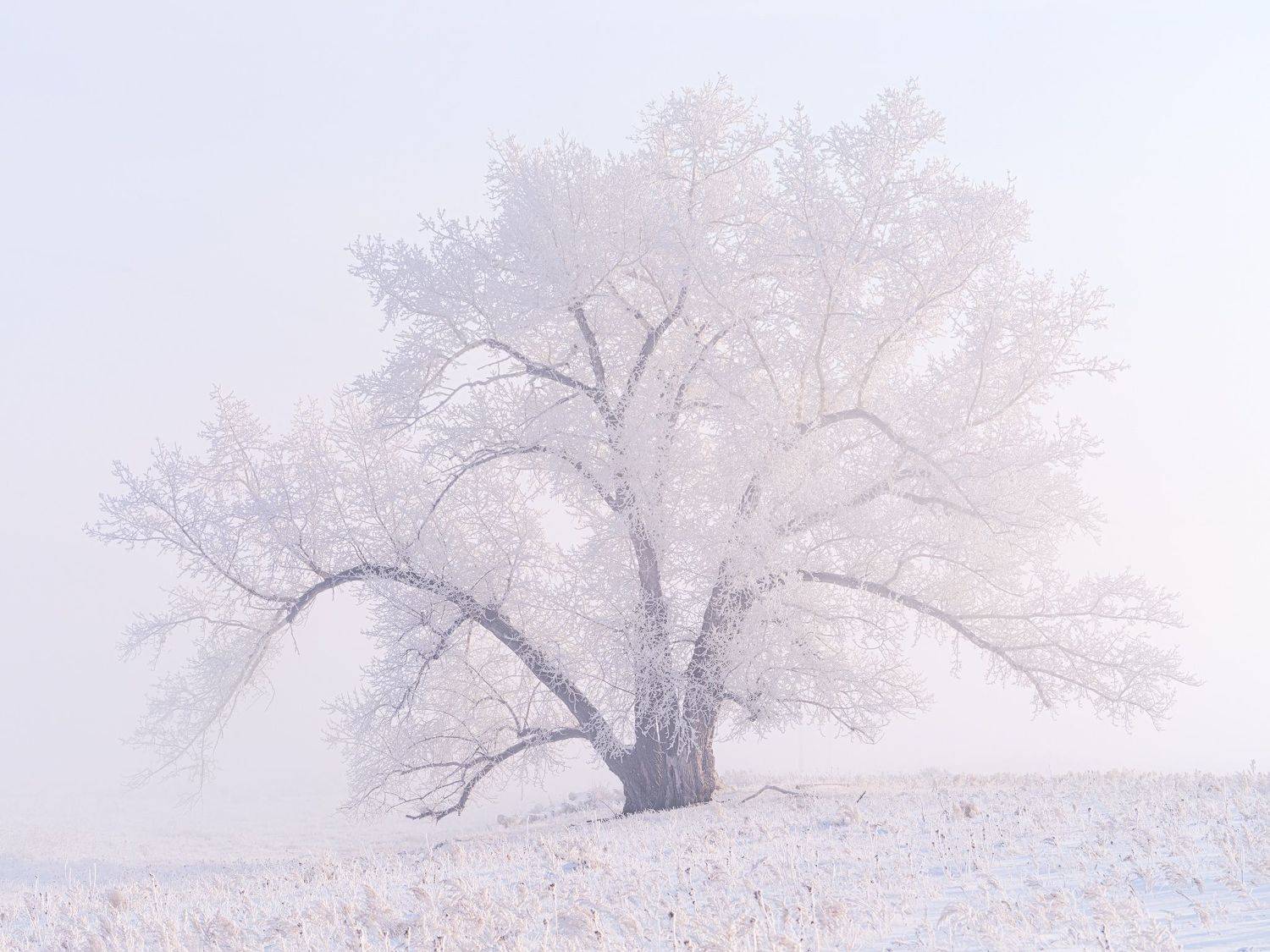 , Леонтьев Константин