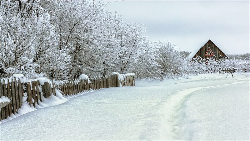 пейзаж, деревня, зима, снег, свет, цвет, александр никитинский Ну вот и зима... фото превью