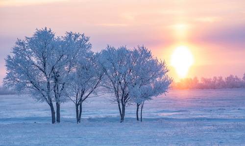 Рассветное солнышко