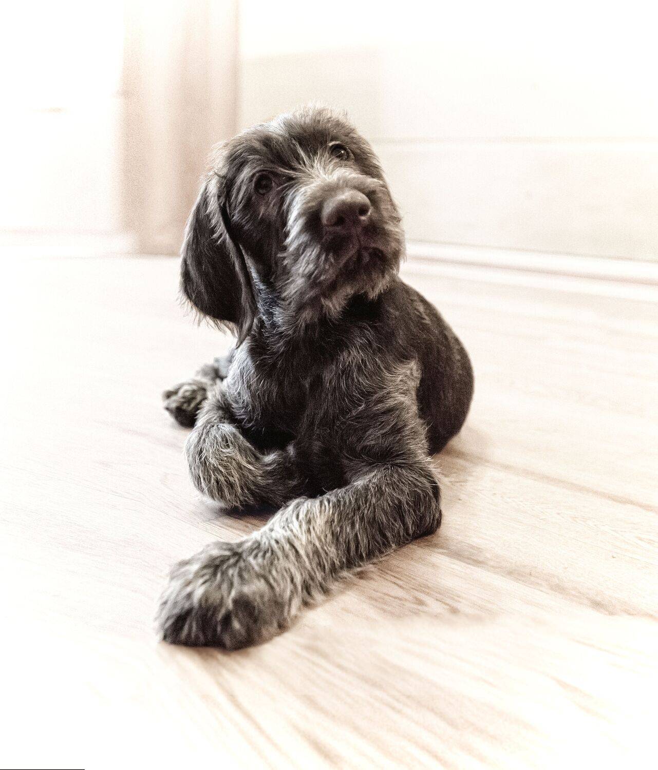 , Сергей Москалянов