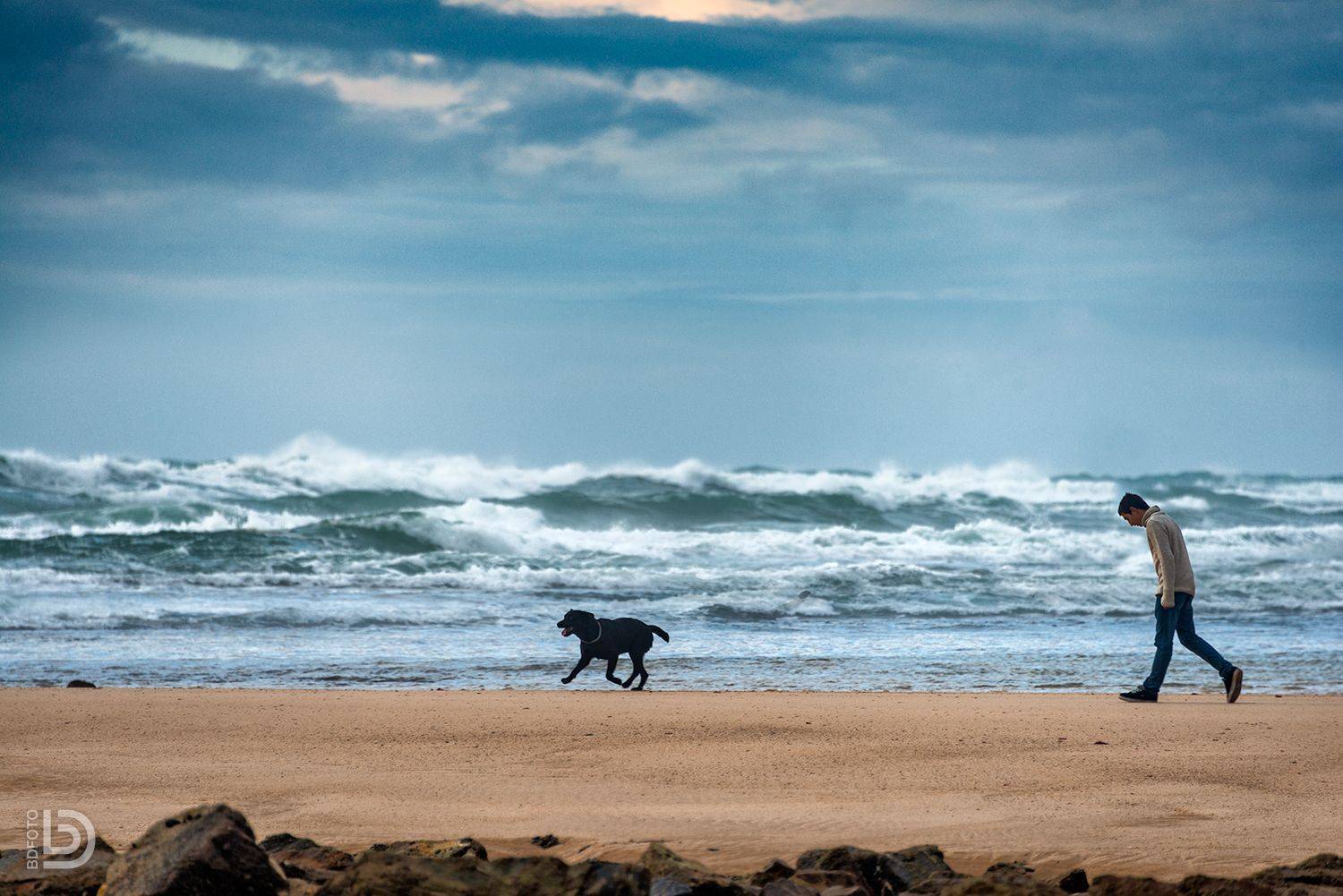 , Дмитрий Бакулин