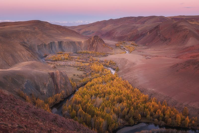 Алтай. Осень. Урочище Кокоря. Алтай. фото превью