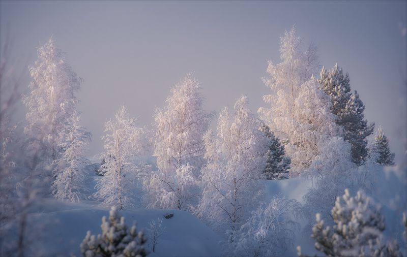 *** фото превью