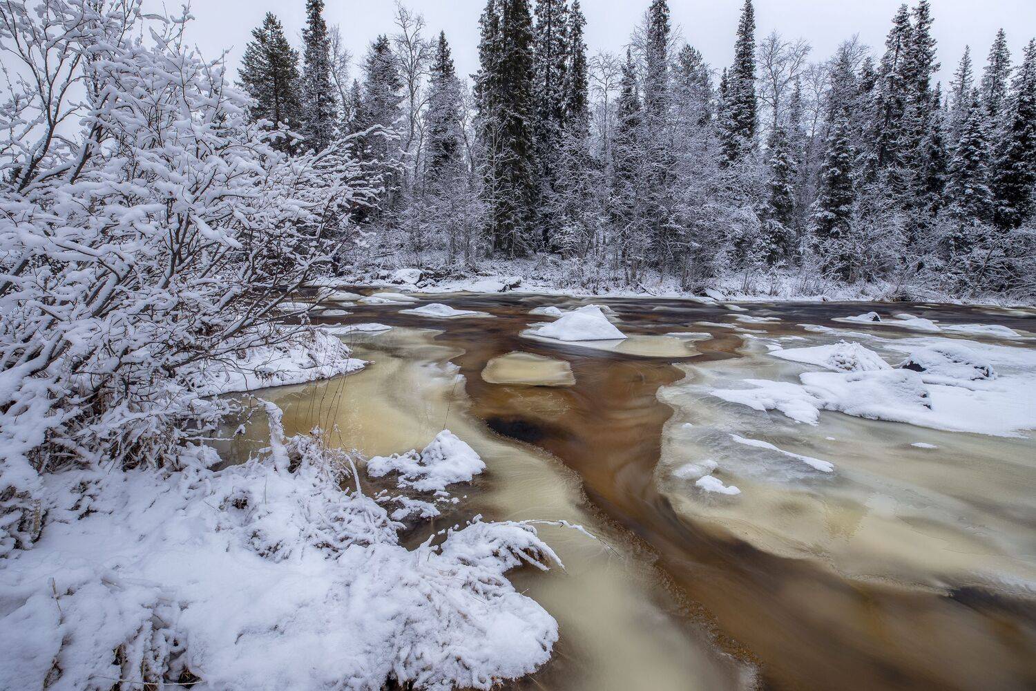 Мурманская область, Гусева Елена