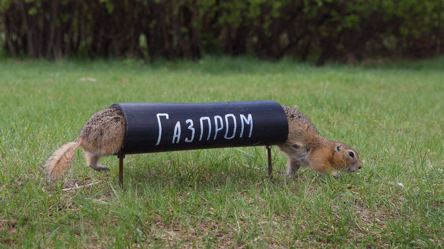 , Тришин Виктор