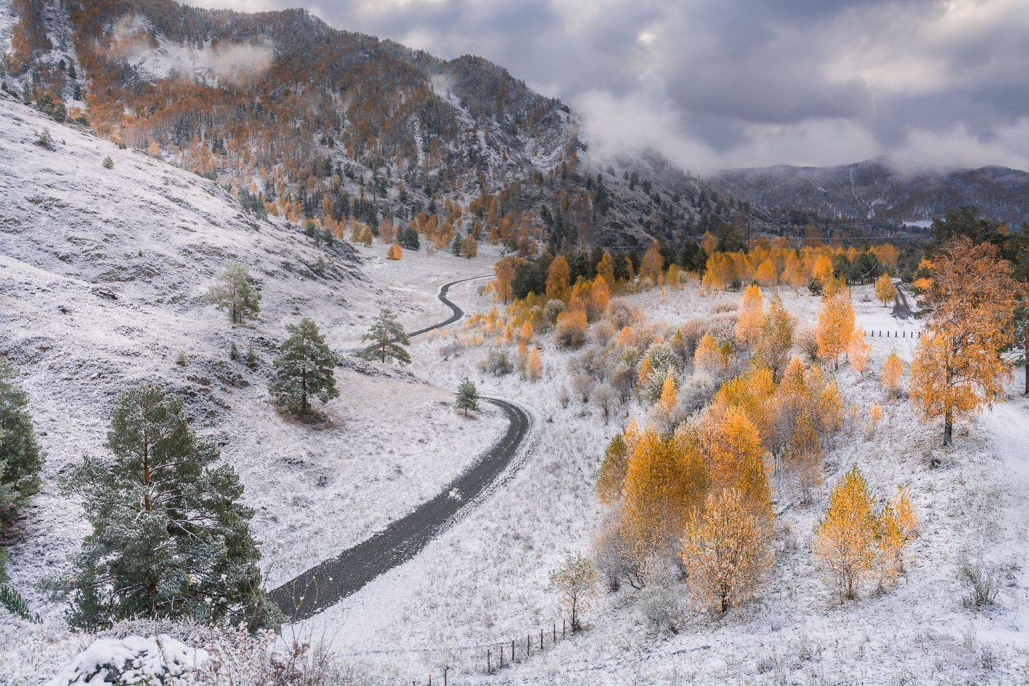 россия, горный алтай,осень, утро,снег, Андрей Поляков