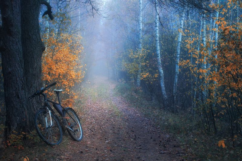 ******** фото превью