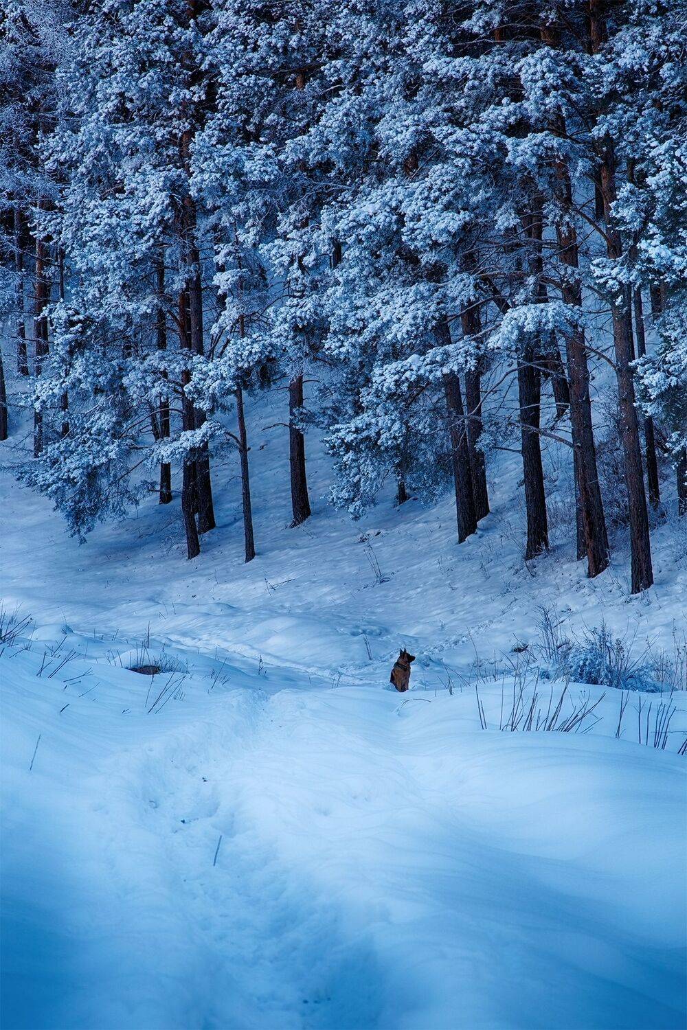 кыргызстан, ак-тюз, Элина Магалимова