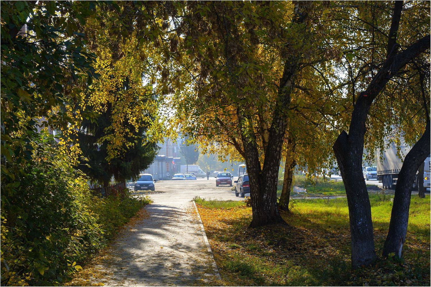 , Владимир Краснов