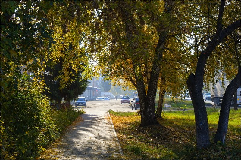 **** фото превью