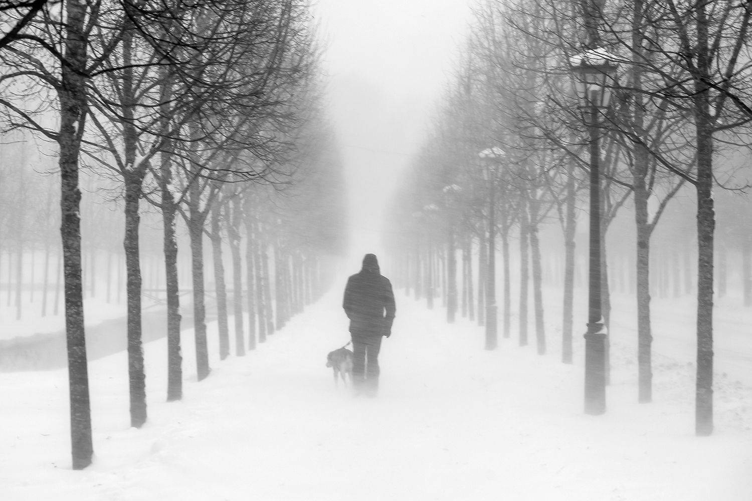 , Александр Абросимов