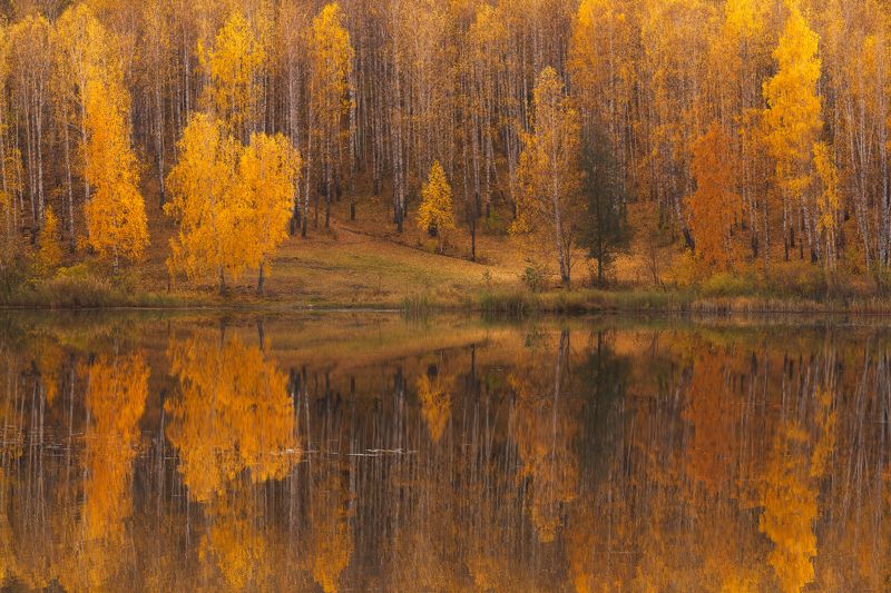 Тишь да гладь фото превью
