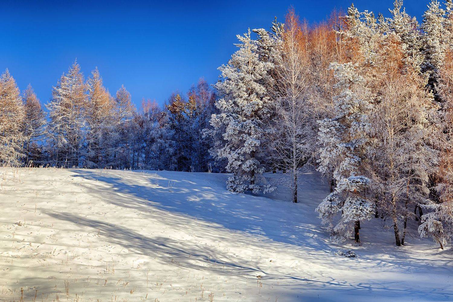 кыргызстан, ак-тюз, Элина Магалимова
