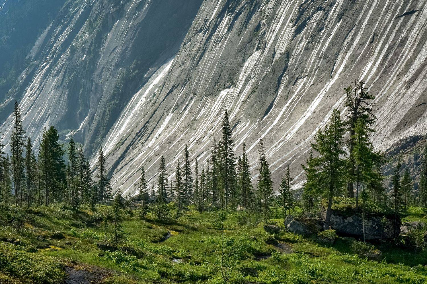 россия, западные саяны, ергаки, тайгишонок,  лес, ели, камень, стена, скалы, Холзаков Вячеслав