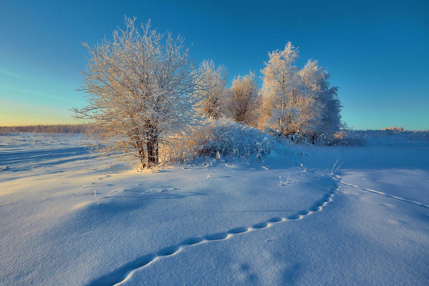 , Лисаускас Илья