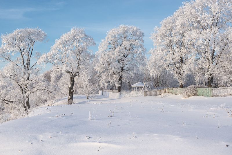 Снег, снег, снег и голубое небо! фото превью