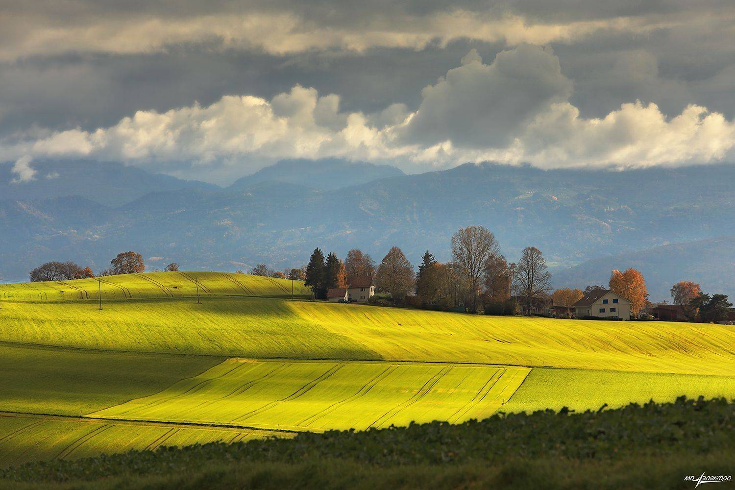 swiss, Матвеев Николай