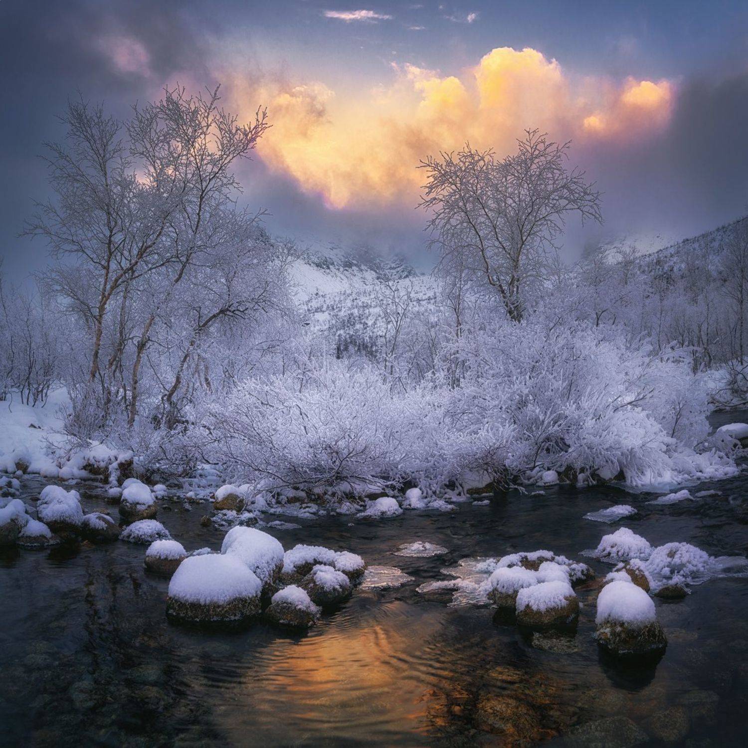 кольский, Dmitry Medyancev