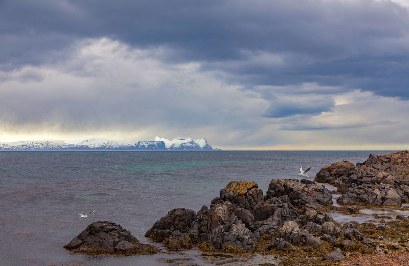 At the edge of the earth фото превью