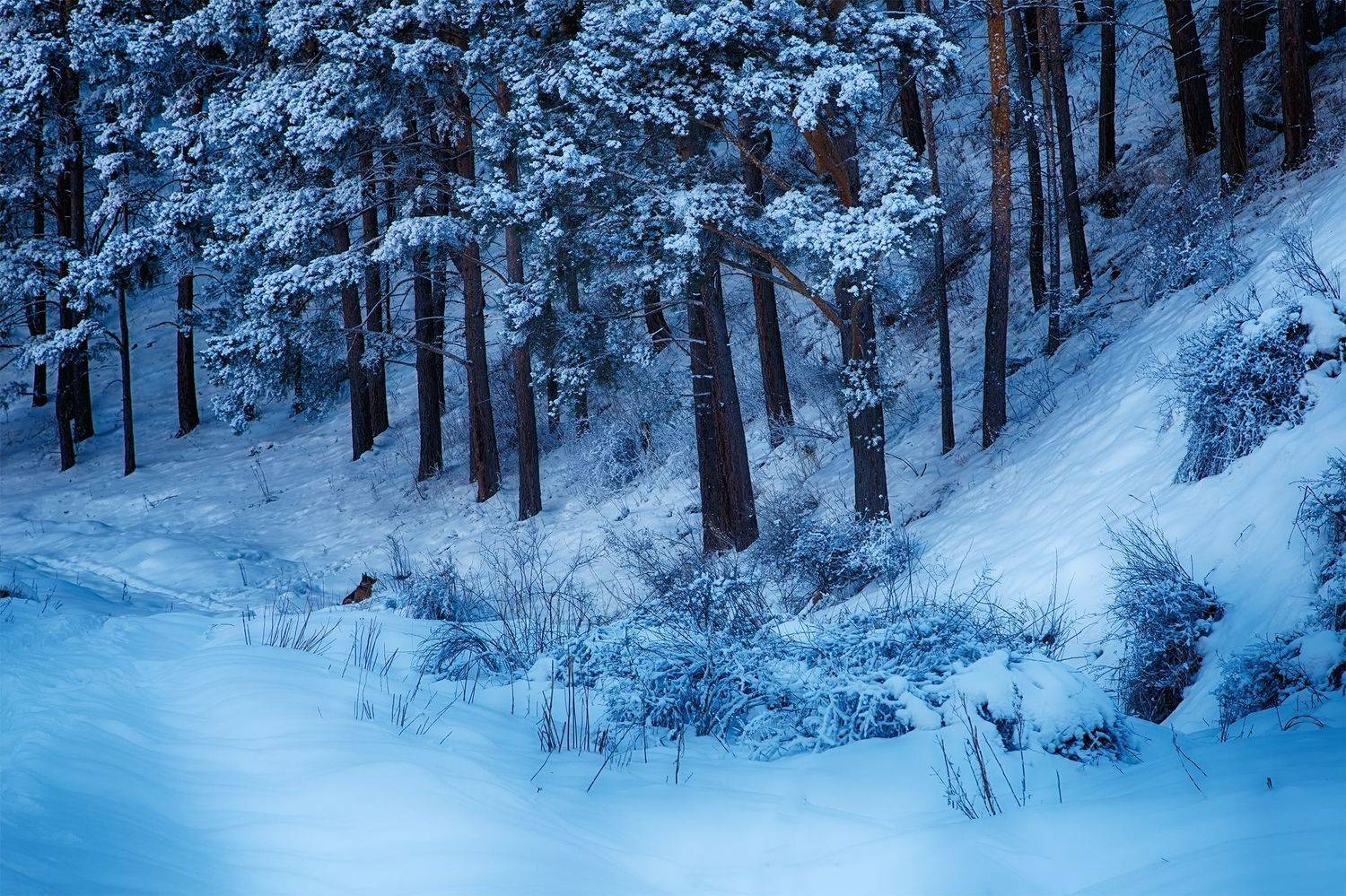 кыргызстан, ак-тюз, Элина Магалимова