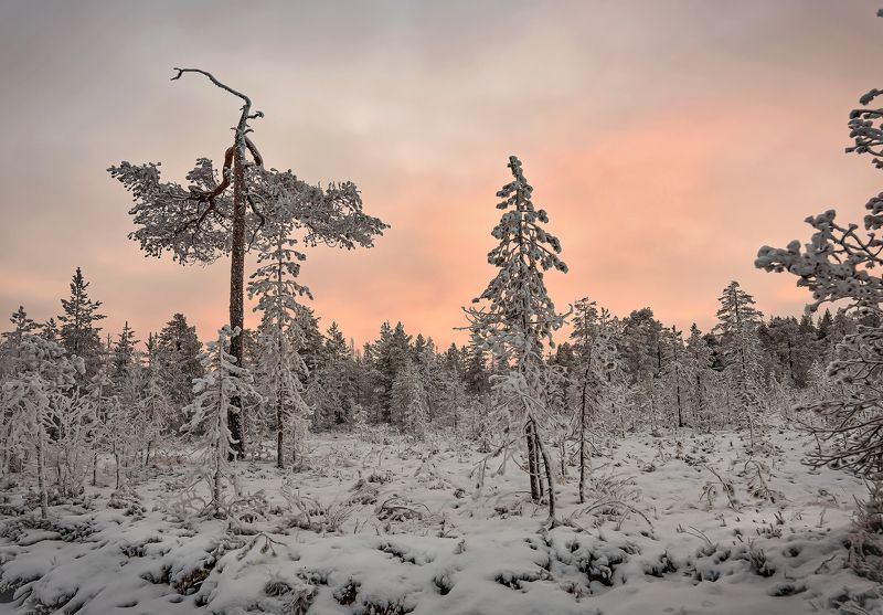 Ближе к вечеру. Хибины фото превью