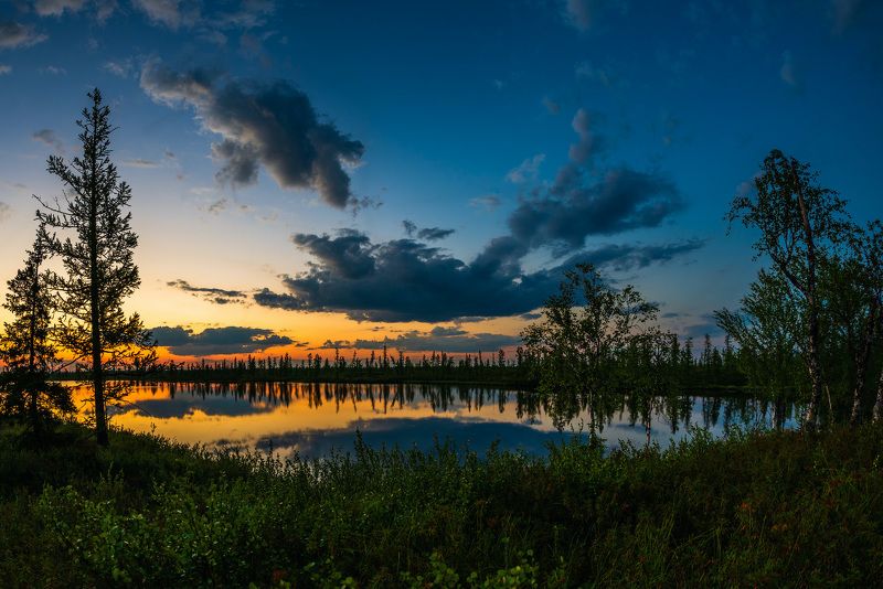 тундра, ямал, закат, озеро, небо, надым, север, отражение, облака Вечерняя тундра фото превью
