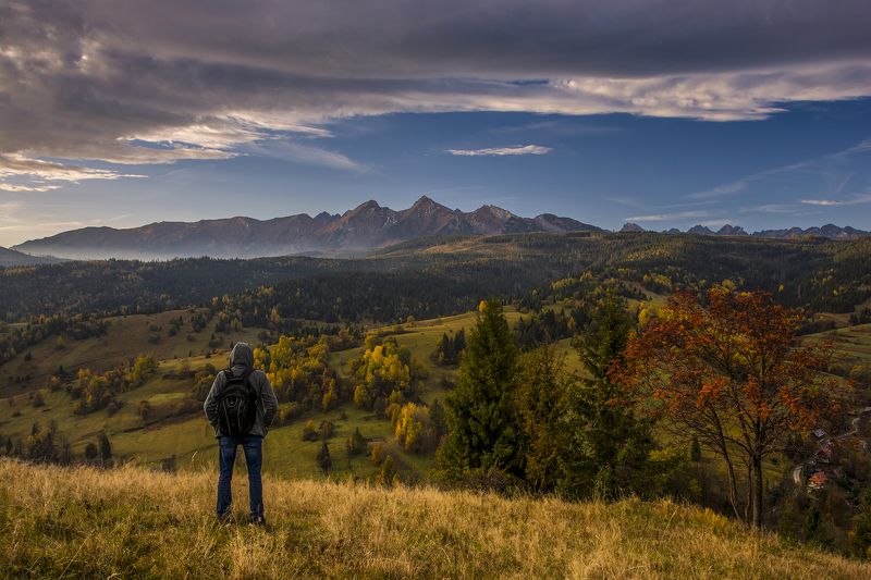 Poranek w Tatrach, Tatra Poland фото превью