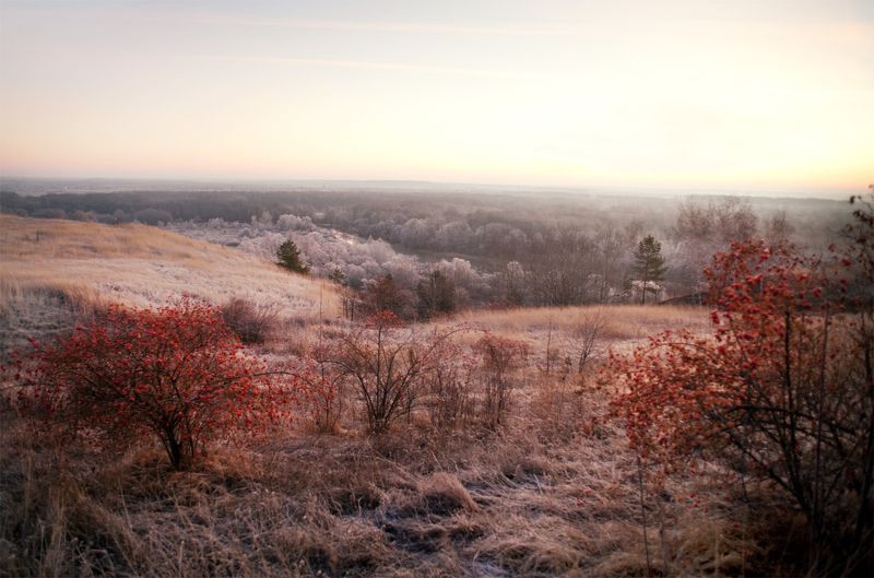изморозь, рассвет По тропам детства фото превью
