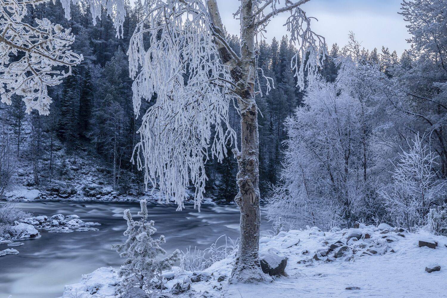 Кольский полуостров, Гусева Елена