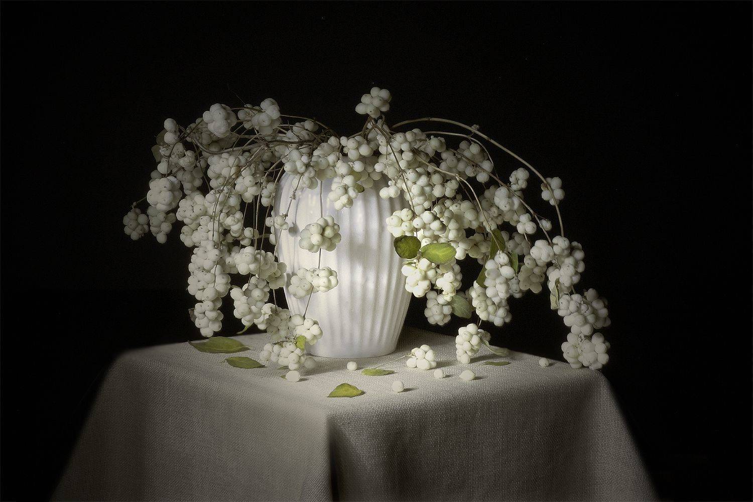 , Ольга Заболотская