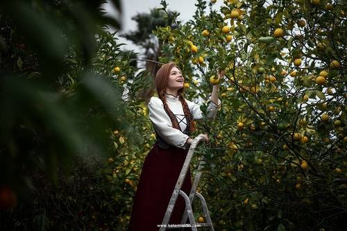 Lost in gardens