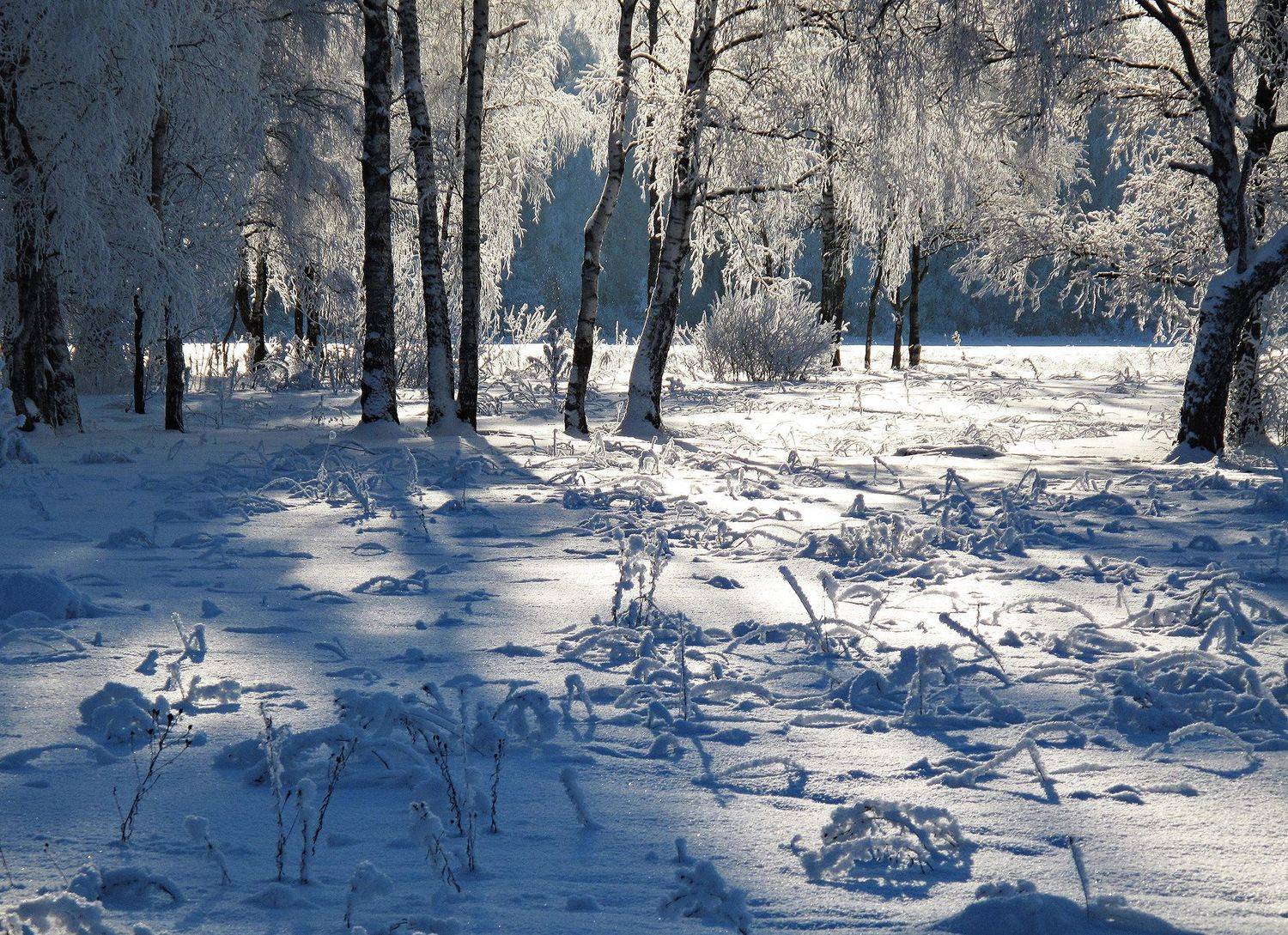 , Виктор Волынский