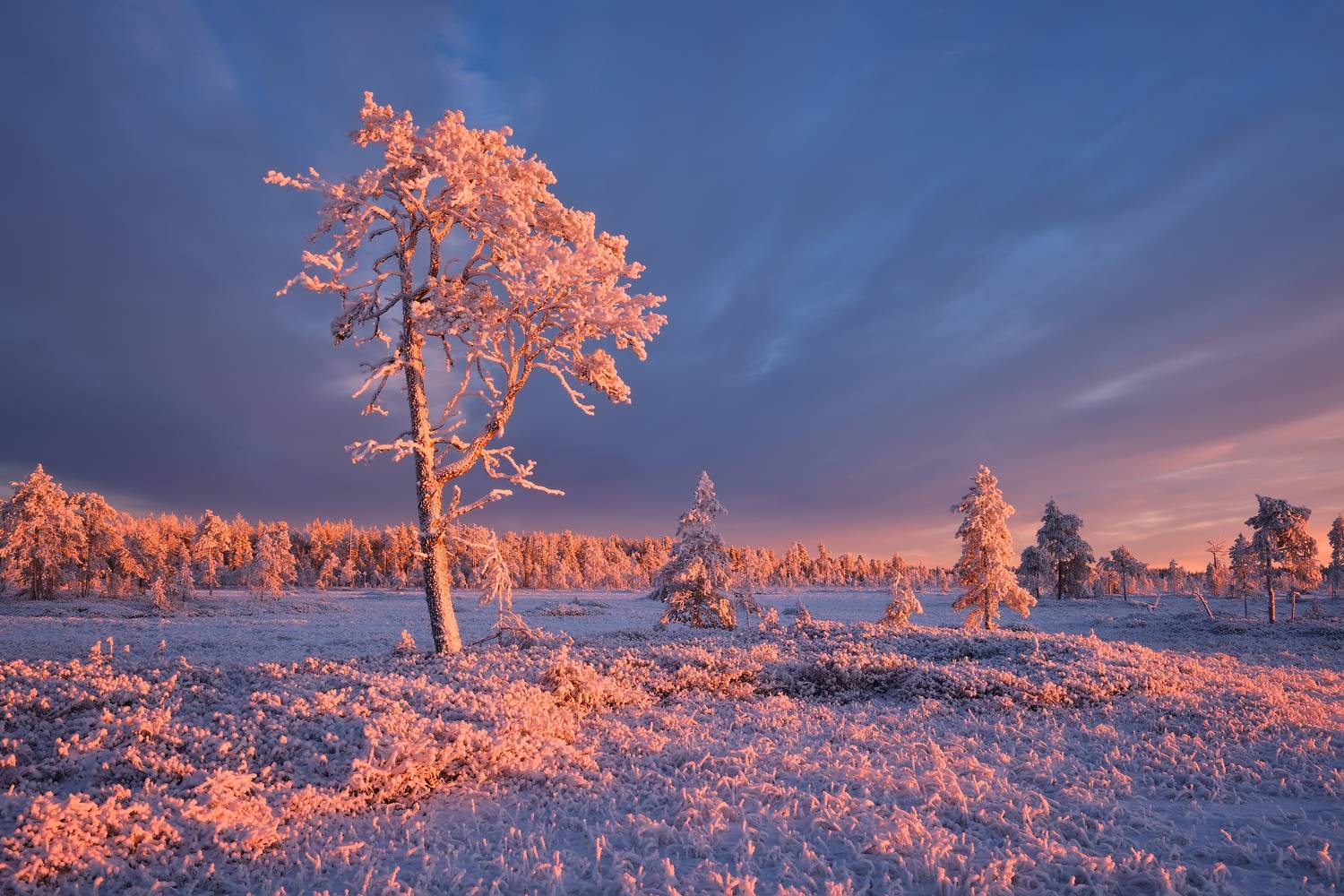 , Максим Евдокимов (phototourtravel.ru)