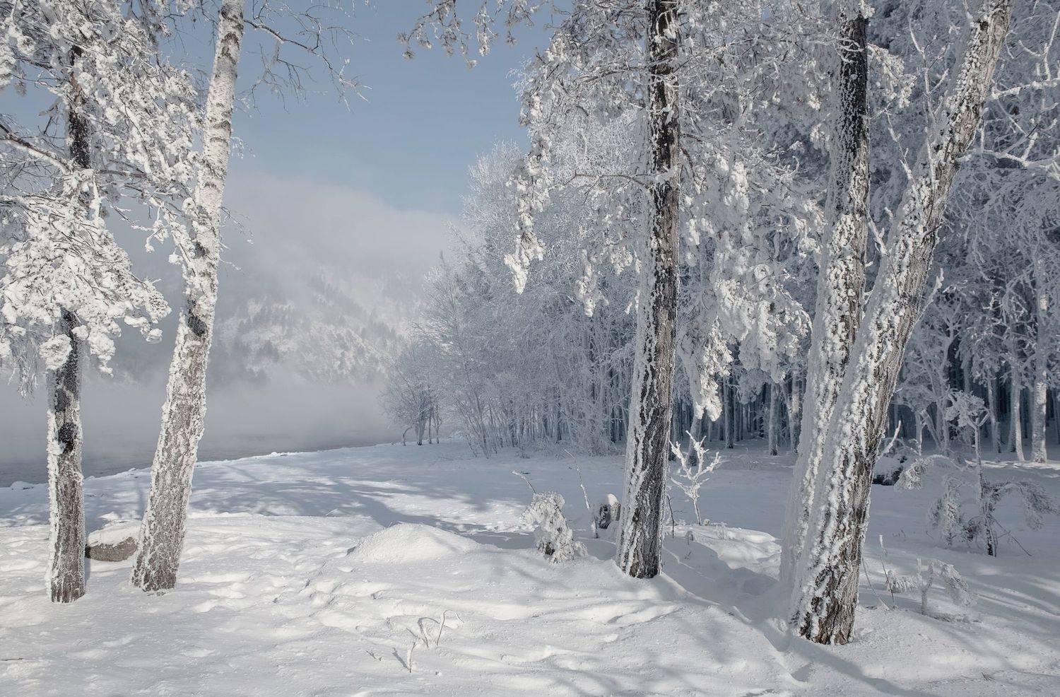 сибирь, енисей, красноярский край, мороз, иней, Фомина Марина