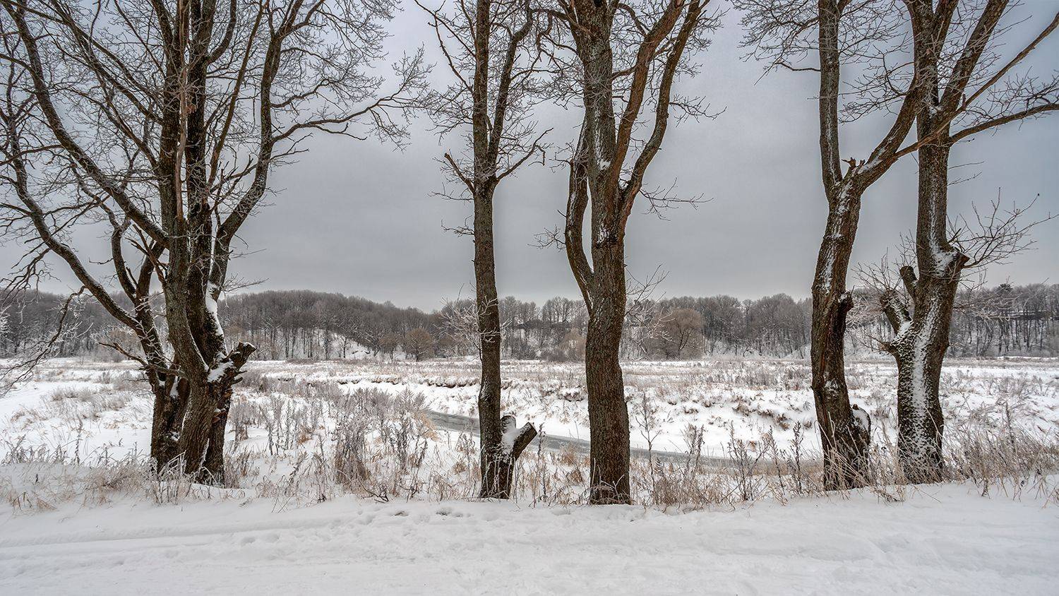 , Андреев Николай