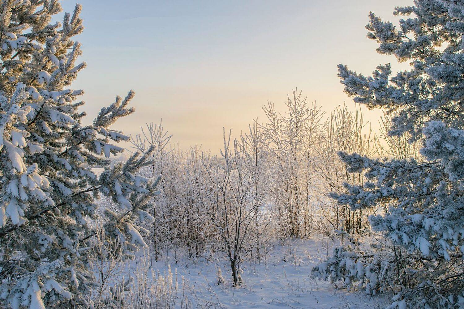 , Галина Луценко