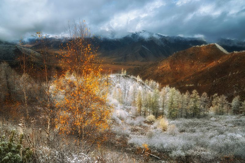 Чике-Таман после снегопада... фото превью