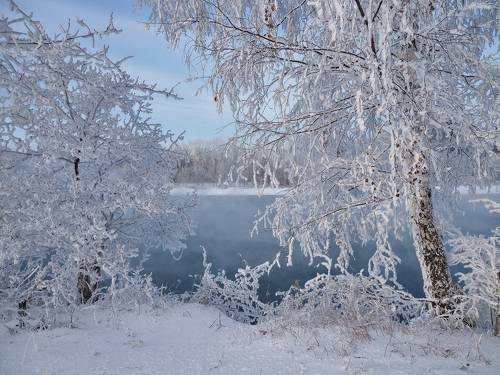 Морозное кружево